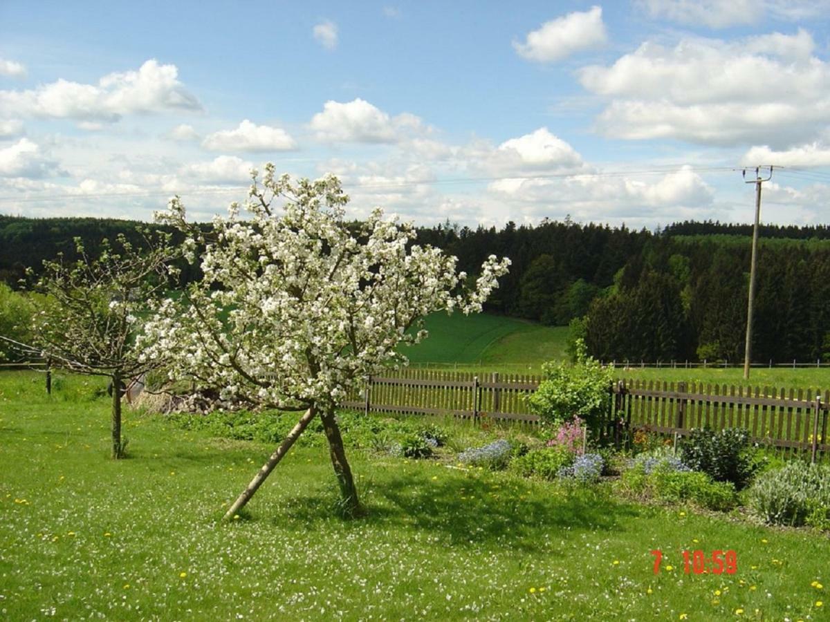 Pension Steiger Bad Griesbach  Exterior foto